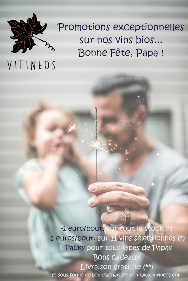 Promos Fête des Pères Vitineos
