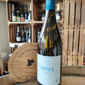 (1093-001) Vitale 2021 - Blanc Sec Tranquille - Agricola Maroni