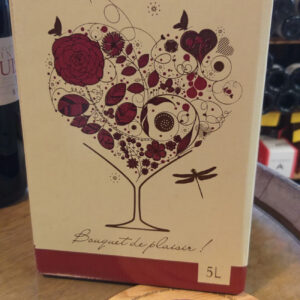 (1010-009) Bib 5l 2023 - Rouge Sec Tranquille - Domaine du Petit Bondieu (Thomas Pichet)